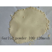 100-120mesh Garlic Powder Air Dehydrated